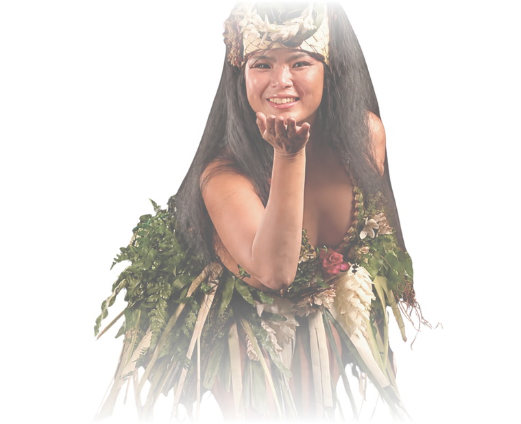 Masami — Te Puna Hiro'a主宰